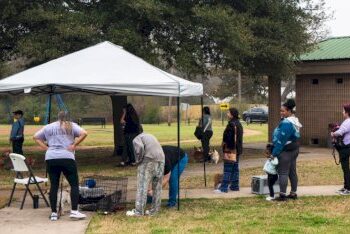 free-microchip-and-rabies-vaccination-event-–-register-now