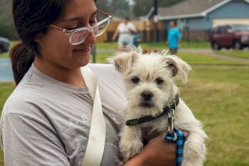 registration-open-for-microchip-&-rabies-vaccination-event