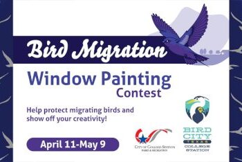the-bird-migration-window-painting-contest-is-on!
